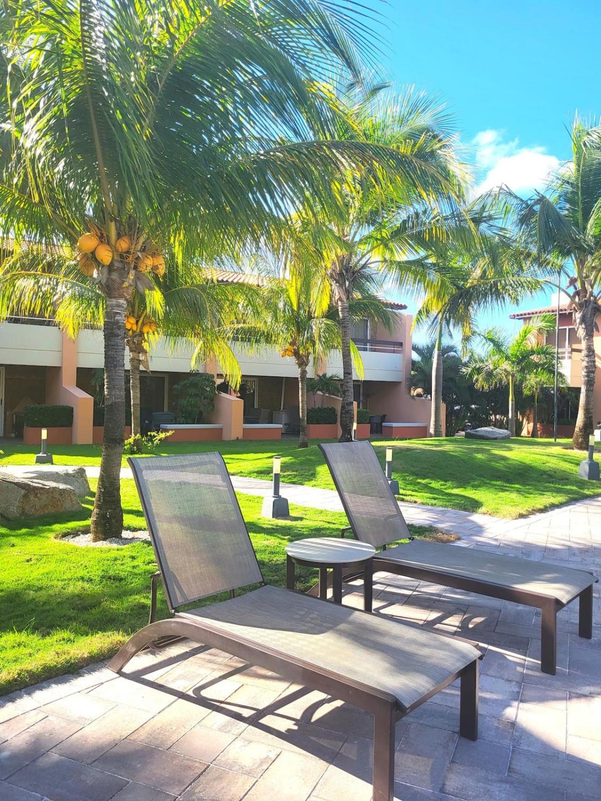Eagle Beach Luxury House, Walking Distance To The Beach パームビーチ エクステリア 写真